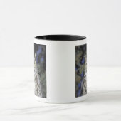 NA, VS, New Mexico, Wildlife West Natuur Park Mok (Midden)