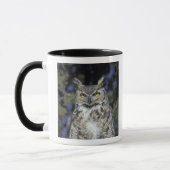 NA, VS, New Mexico, Wildlife West Natuur Park Mok (Links)