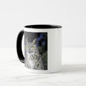 NA, VS, New Mexico, Wildlife West Natuur Park Mok (Voorkant links)