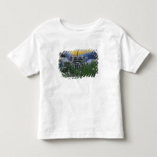NA, VS, oostelijk Washington, Oude vrachtwagen met Kinder Shirts