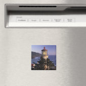 NA, VS, Oregon, Heceta Head Lighthouse, Magneet (Insitu (Vaatwasser))