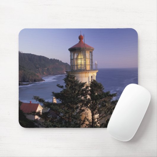 NA, VS, Oregon, Heceta Head Lighthouse, Muismat (Met muis)