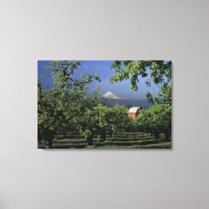 NA, VS, Oregon, nabij Hood River Mt. Hood met Canvas Afdruk