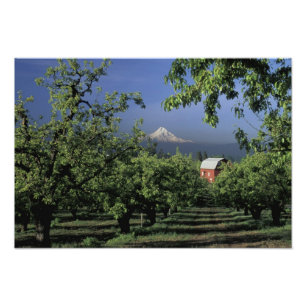 NA, VS, Oregon, nabij Hood River Mt. Hood met Foto Afdruk