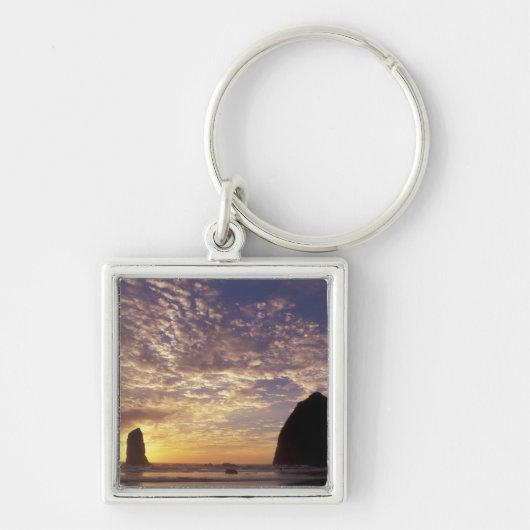 NA, VS, Oregon, Oregon Coast, Canon Beach met Sleutelhanger (Voorkant)
