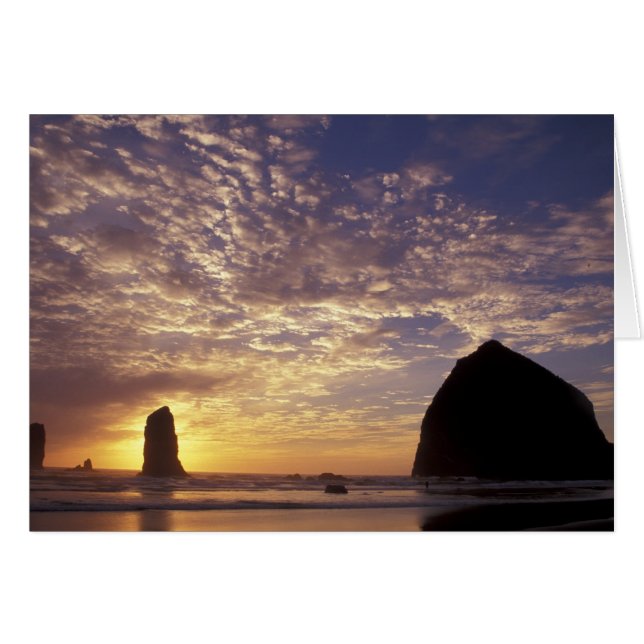 NA, VS, Oregon, Oregon Kust, Canon Beach met (Voorkant Horizontaal)