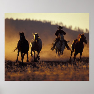 NA, VS, Oregon, Seneca, Ponderosa Ranch, Cowboy 2 Poster
