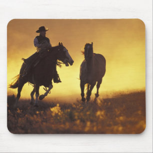 NA, VS, Oregon, Seneca, Ponderosa Ranch, Cowboy 3 Muismat