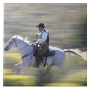 NA, VS, Oregon, Seneca, Ponderosa Ranch, Cowboy Tegeltje