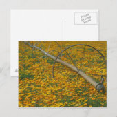 NA, VS, Oregon. Watersysteem in het veld van Briefkaart (Voorkant / Achterkant)