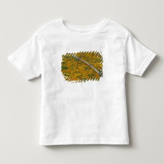 NA, VS, Oregon. Watersysteem in veld van Kinder Shirts (Voorkant)