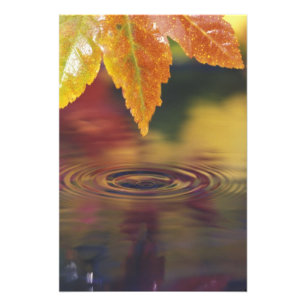 NA, VS, Pacific Northwest Foto Afdruk