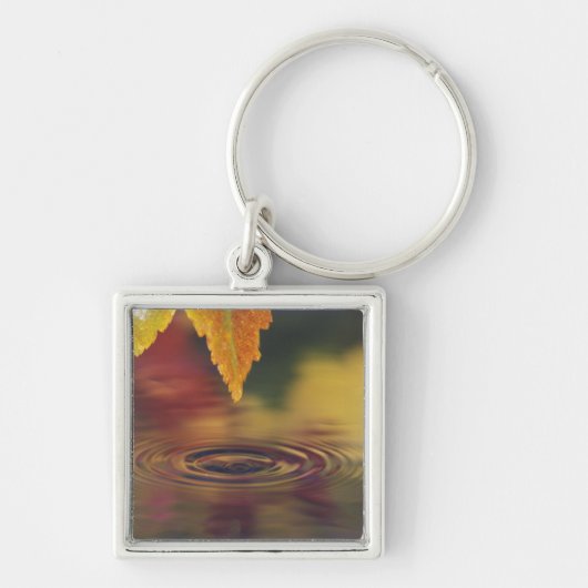 NA, VS, Pacific Northwest Sleutelhanger (Voorkant)