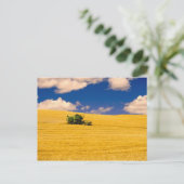 NA, VS, Staat Washington, Palouse-regio, Briefkaart (Staand voorkant)