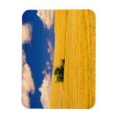 NA, VS, Staat Washington, Palouse-regio, Magneet (Verticaal)