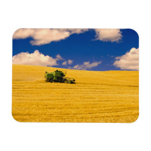 NA, VS, staat Washington, regio Palouse, Magneet