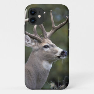 NA, VS, Staat Washington, Witstaarthert, Case-Mate iPhone Case