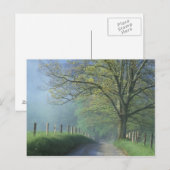 NA, VS, Tennessee, Cades Cove, Great Smoky Briefkaart (Voorkant / Achterkant)