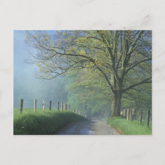 NA, VS, Tennessee, Cades Cove, Great Smoky Briefkaart (Voorkant)