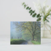 NA, VS, Tennessee, Cades Cove, Great Smoky Briefkaart (Staand voorkant)