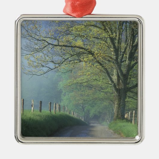NA, VS, Tennessee, Cades Cove, Great Smoky Metalen Ornament (Voorkant)