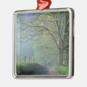 NA, VS, Tennessee, Cades Cove, Great Smoky Metalen Ornament (Links)