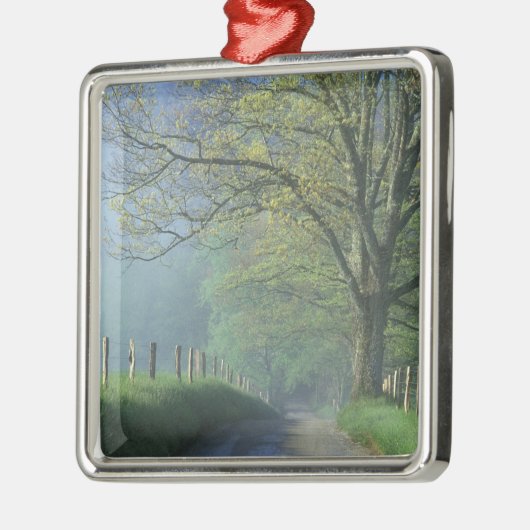NA, VS, Tennessee, Cades Cove, Great Smoky Metalen Ornament (Links)