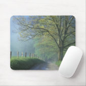 NA, VS, Tennessee, Cades Cove, Great Smoky Muismat (Met muis)