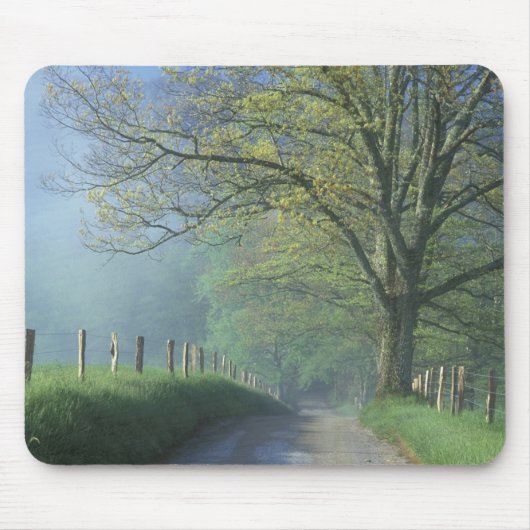 NA, VS, Tennessee, Cades Cove, Great Smoky Muismat (Voorkant)