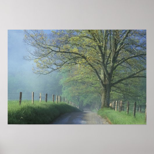 NA, VS, Tennessee, Cades Cove, Great Smoky Poster (Voorkant)
