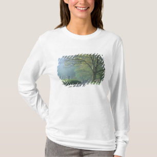 NA, VS, Tennessee, Cades Cove, Great Smoky T-shirt