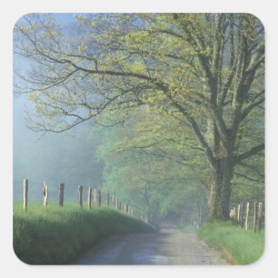 NA, VS, Tennessee, Cades Cove, Great Smoky Vierkante Sticker