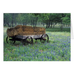 NA, VS, Texas, ten oosten van Devine, Oude wagen i