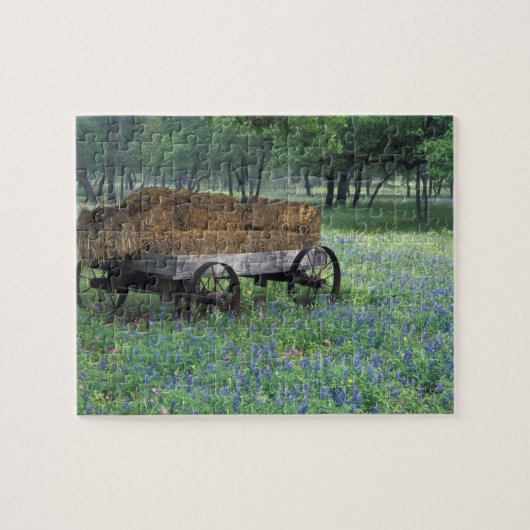 NA, VS, Texas, ten oosten van Devine, Oude wagen i Legpuzzel (Horizontaal)