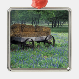 NA, VS, Texas, ten oosten van Devine, Oude wagen i Metalen Ornament