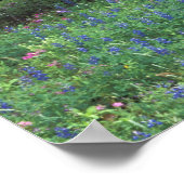 NA, VS, Texas, ten oosten van Devine, oude wagen i Poster (Hoek)