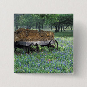 NA, VS, Texas, ten oosten van Devine, Oude wagen i Vierkante Button 5,1 Cm