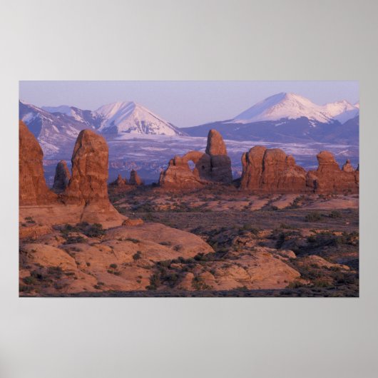 NA, VS, Utah, Arches National Park. Tuin van Poster (Voorkant)