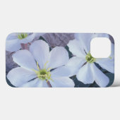 NA, VS, Utah, Arches NP, Evening primrose Case-Mate iPhone Case (Achterkant (horizontaal))
