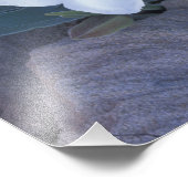 NA, VS, Utah, Arches NP, Evening primrose Foto Afdruk (Hoek)