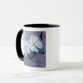 NA, VS, Utah, Arches NP, Evening primrose Mok (Voorkant links)