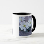 NA, VS, Utah, Arches NP, Evening primrose Mok (Voorkant rechts)