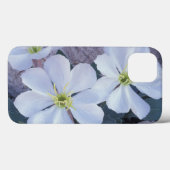 NA, VS, Utah, Arches NP, Teunisbloem Case-Mate iPhone Case (Achterkant (horizontaal))