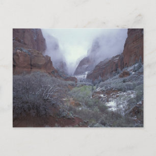 NA, VS, Utah, Zion NP, Lente sneeuwstorm, Briefkaart
