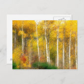 NA, VS, Washington, Herfst Aspen Trees samen Briefkaart (Voorkant / Achterkant)