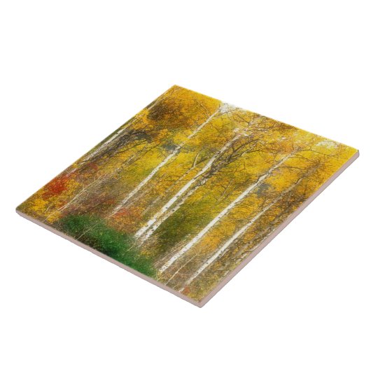 NA, VS, Washington, Herfst Aspen Trees samen Tegeltje (Zijkant)