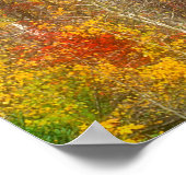 NA, VS, Washington, Herfst Esdoorns langs Poster (Hoek)