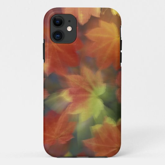 NA, VS, Washington, Issaquah, Esdoorn Case-Mate iPhone Case (Achterkant)