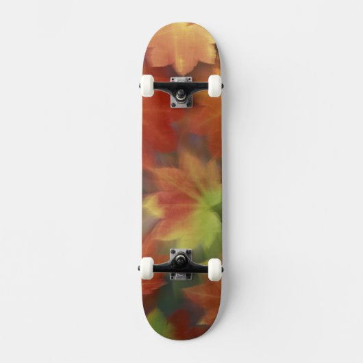 NA, VS, Washington, Issaquah, Esdoorn Skateboard (Voorkant)