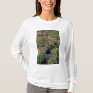 NA, VS, Washington, Mt. Rainier NP, Roze T-shirt